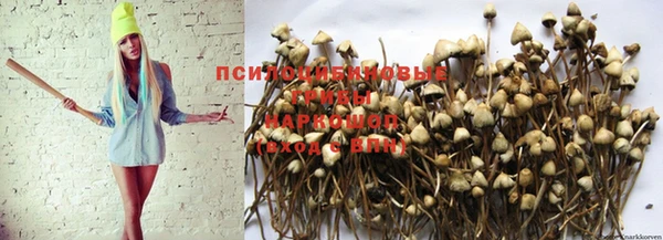 бошки Зерноград