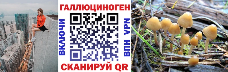 Галлюциногенные грибы ЛСД  Купить закладки  Мегион 
